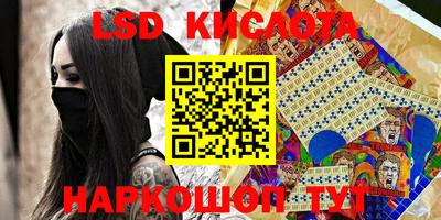 стаф Кинель
