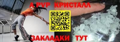 стаф Кинель