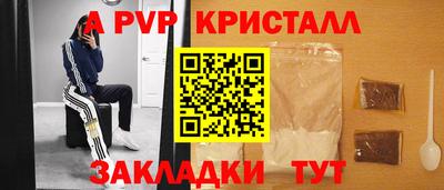 стаф Кинель