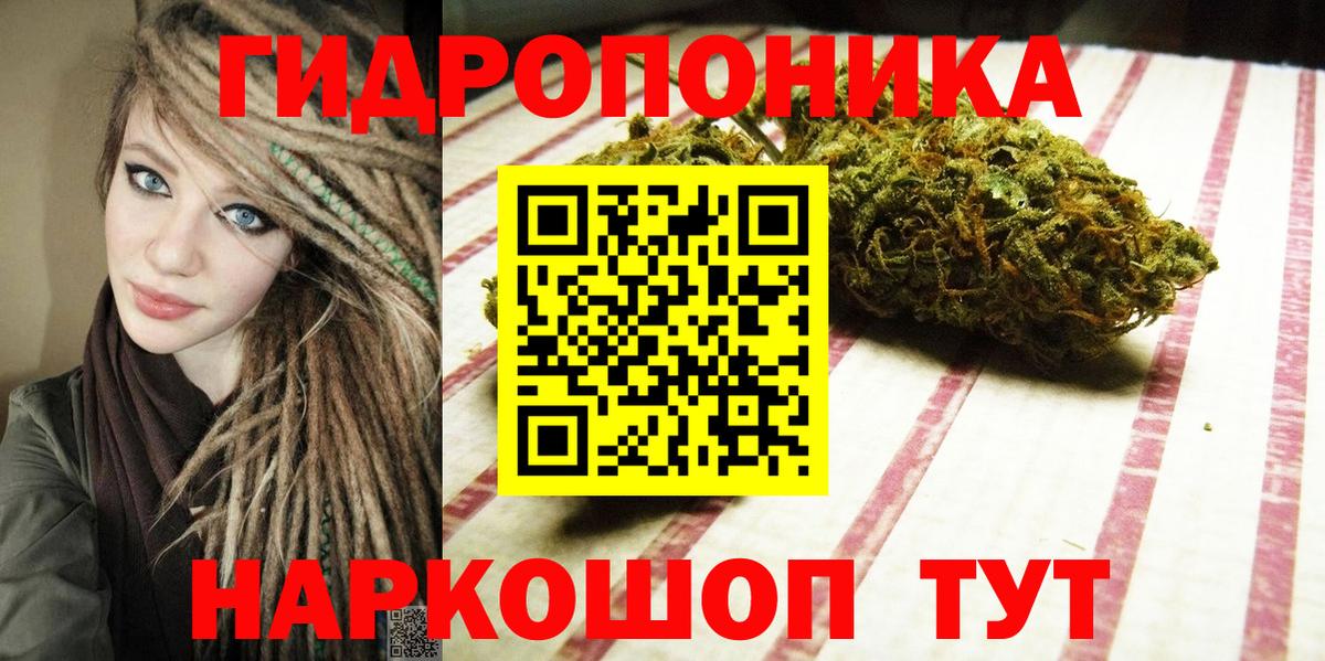 Котлас  Каннабис Ganja  Вход с VPN  Шишки марихуана индика  Шишки марихуана сатива 